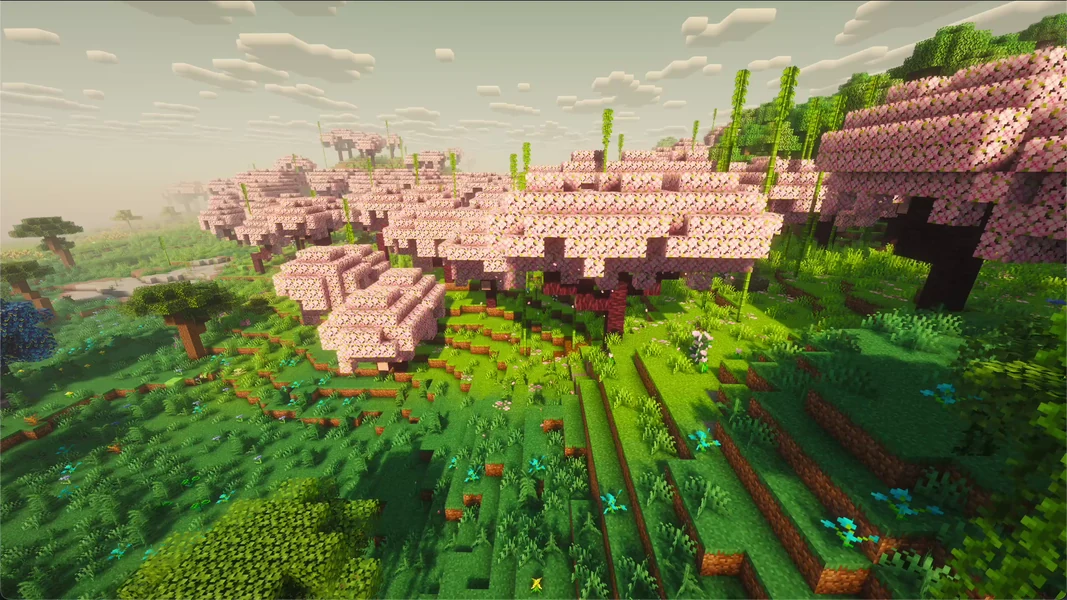 A cherry grove under shaders – own capture from All the Mods 9 1.1.1