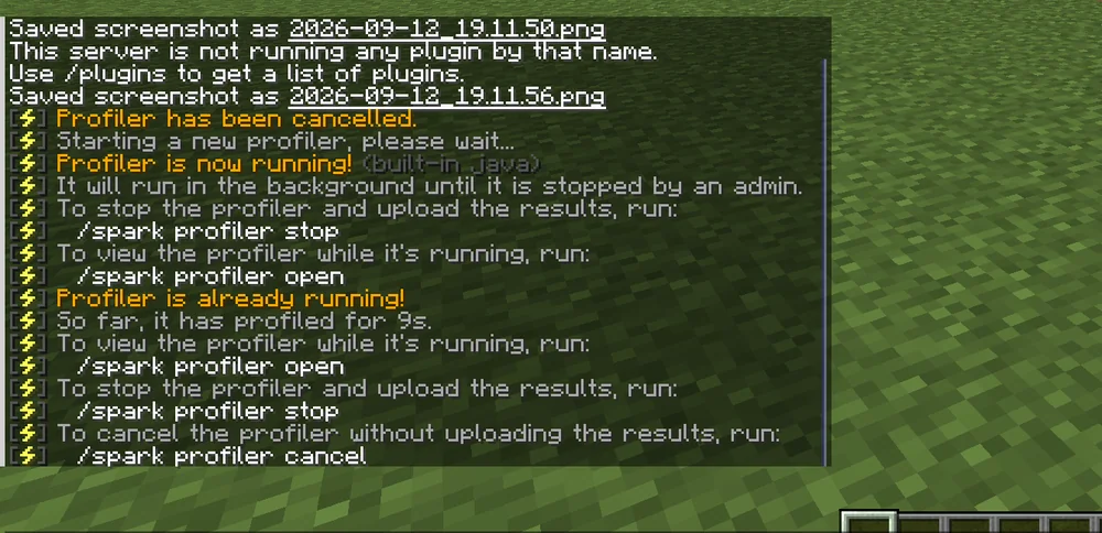 The profiler runs in the background; spark shows the commands for viewing, stopping and cancelling