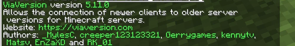 ViaVersion replies in chat with the loaded version on the Paper test server